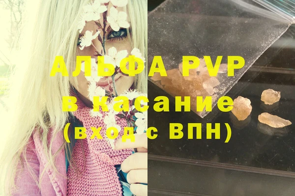соль ск Белокуриха