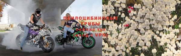 соль ск Белокуриха