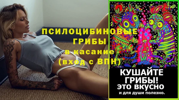 соль ск Белокуриха