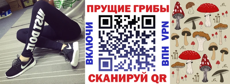 ОМГ ОМГ ТОР  Усть-Илимск  Псилоцибиновые грибы Magic Shrooms  наркошоп 